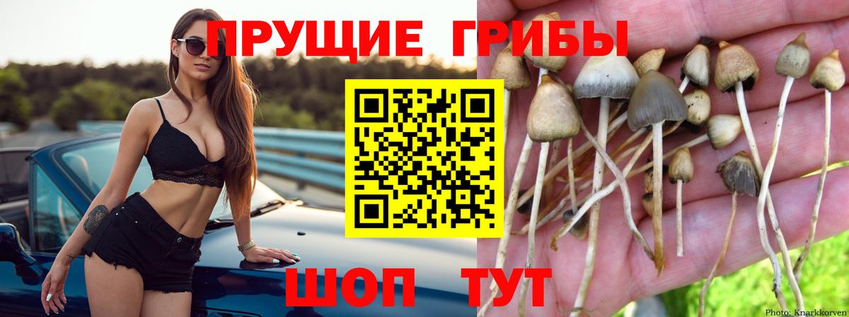 Канабис  Вход с VPN  Асбест  Меф МЯУ МЯУ кристаллы  Продажа наркотиков 